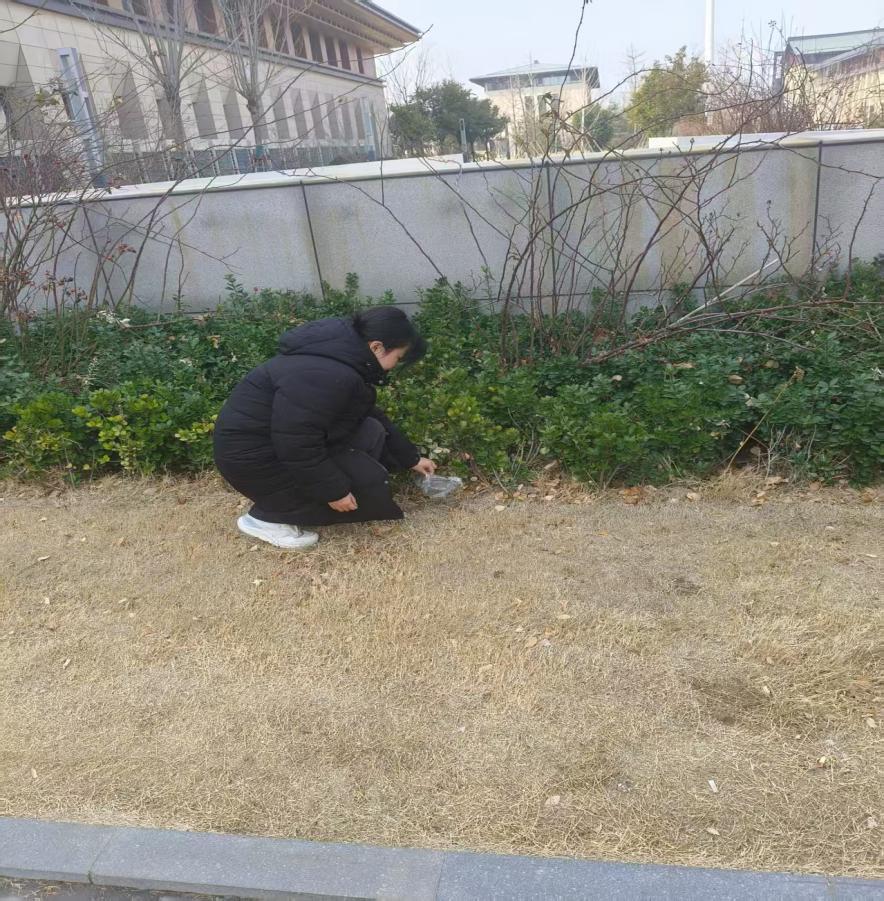 皇冠体育投注