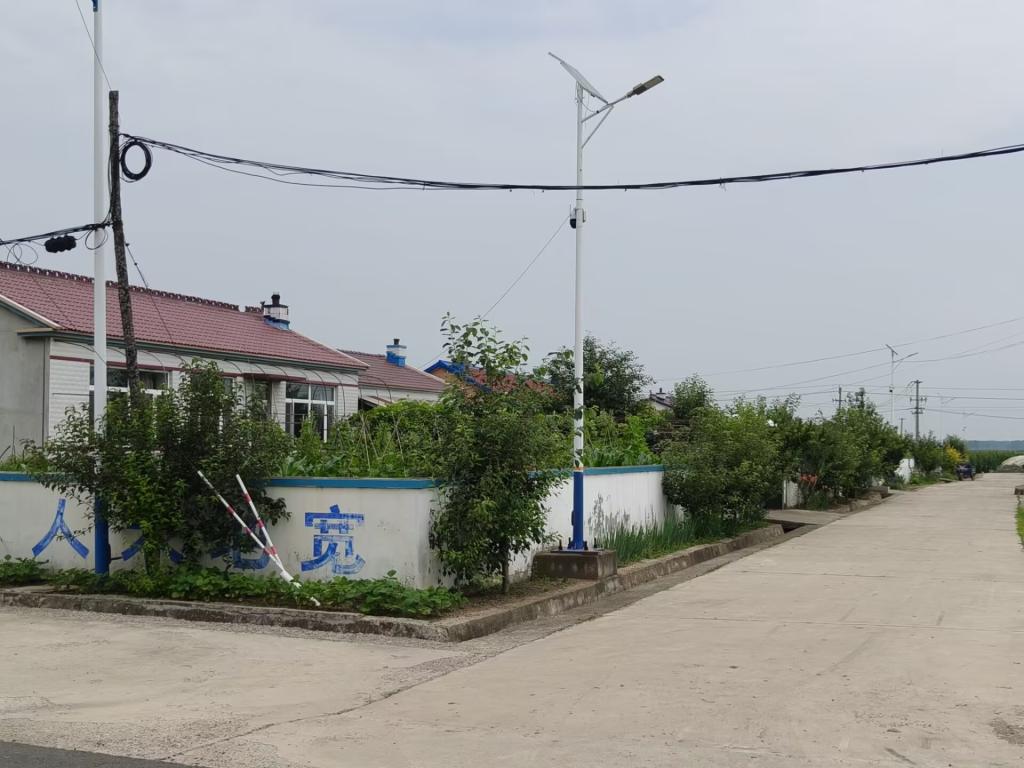皇冠体育投注