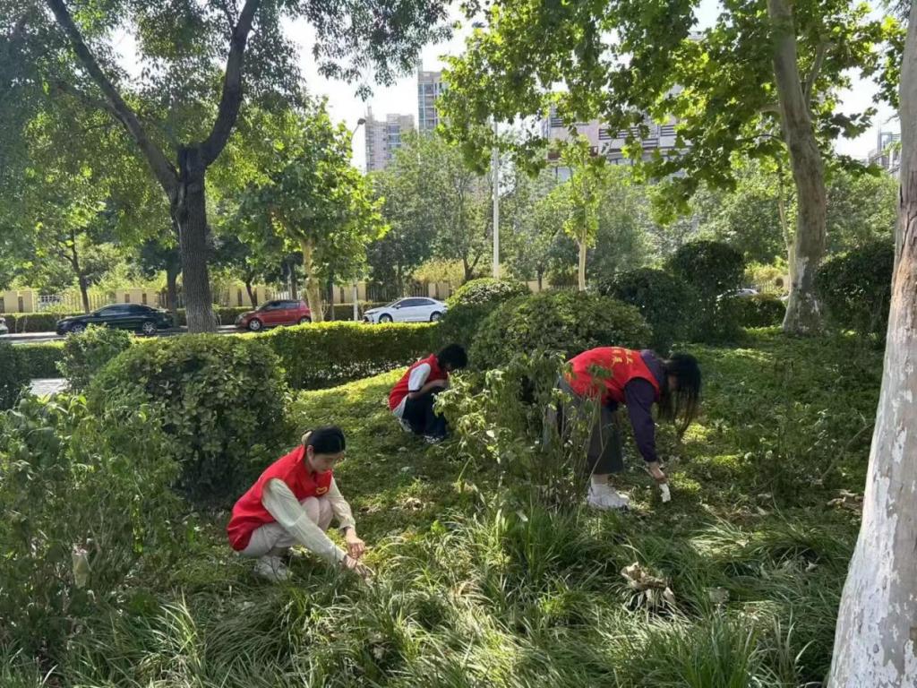 皇冠体育投注