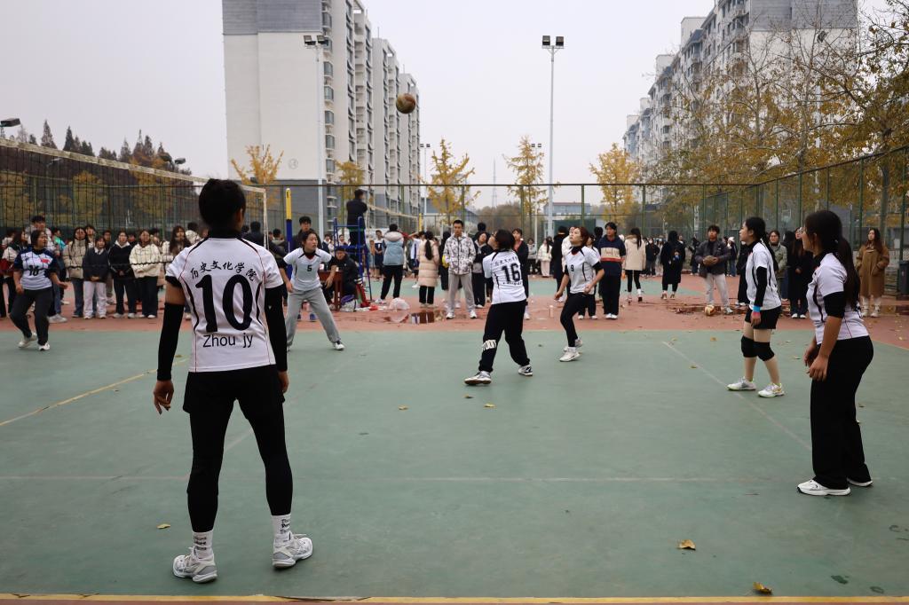 皇冠体育投注