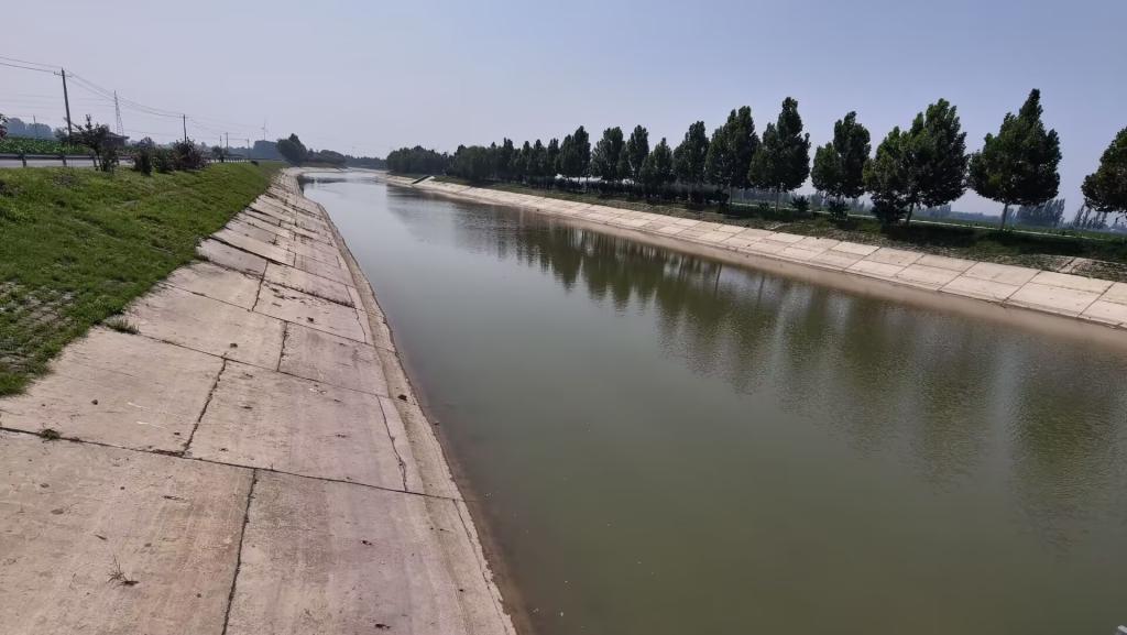 皇冠体育投注
