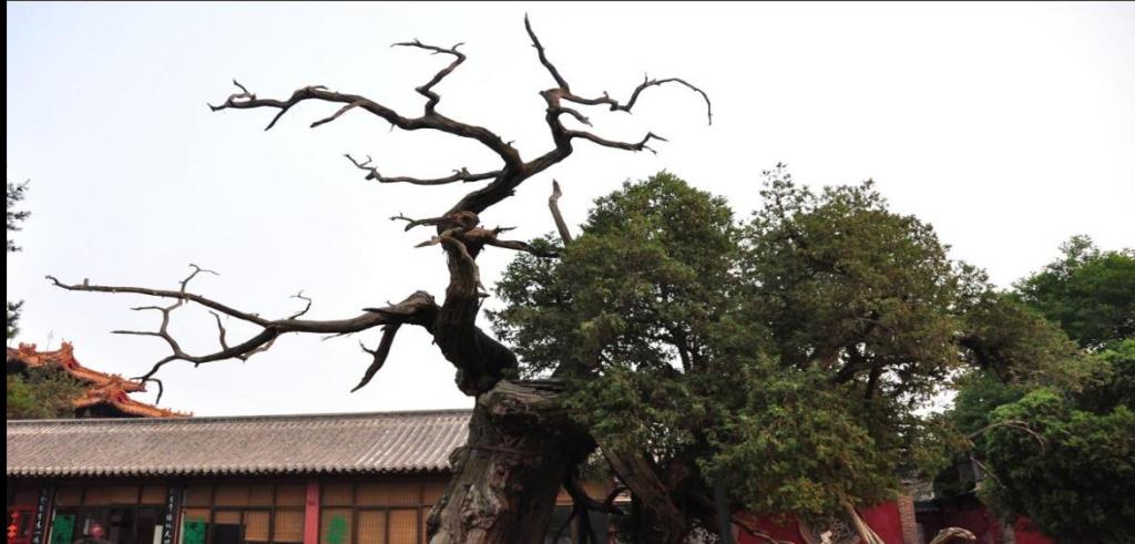 皇冠体育投注