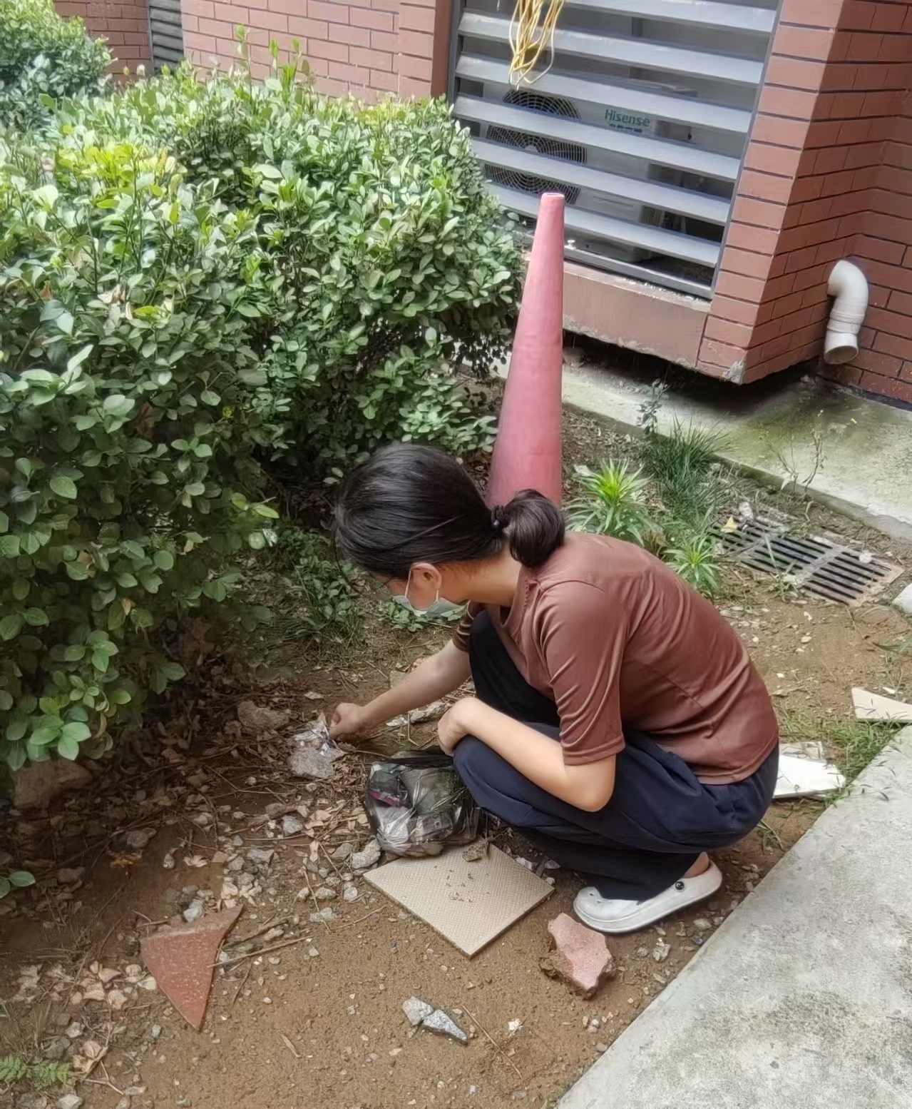 皇冠体育投注