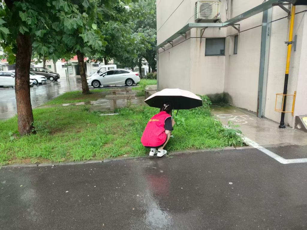 皇冠体育投注