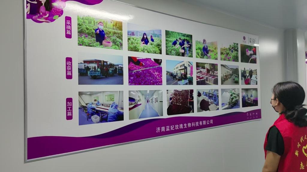 皇冠体育投注