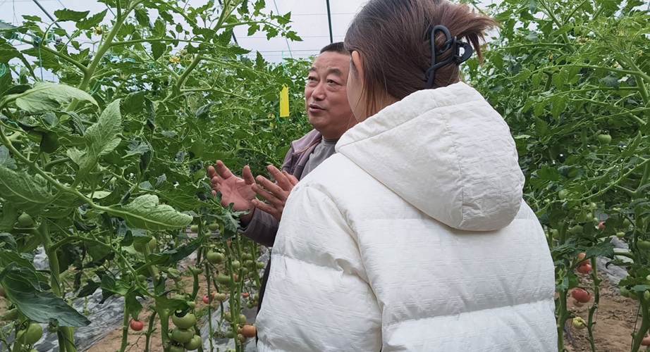 皇冠体育投注
