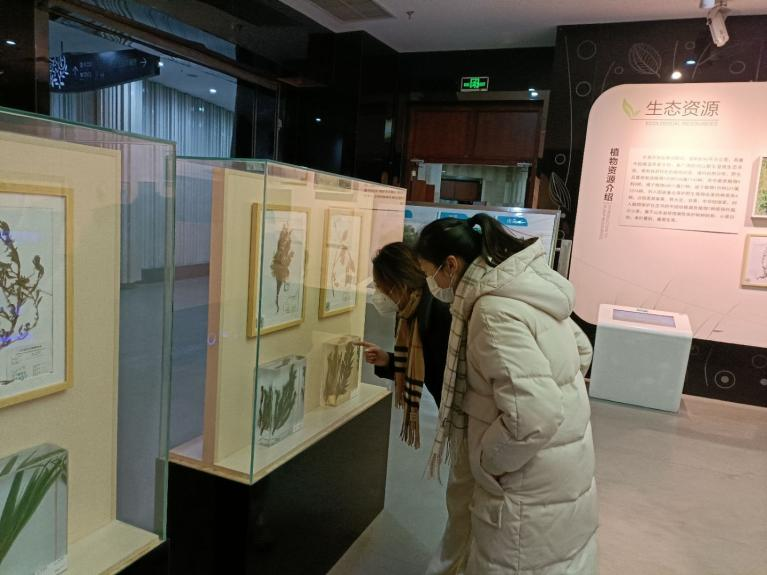 皇冠体育投注