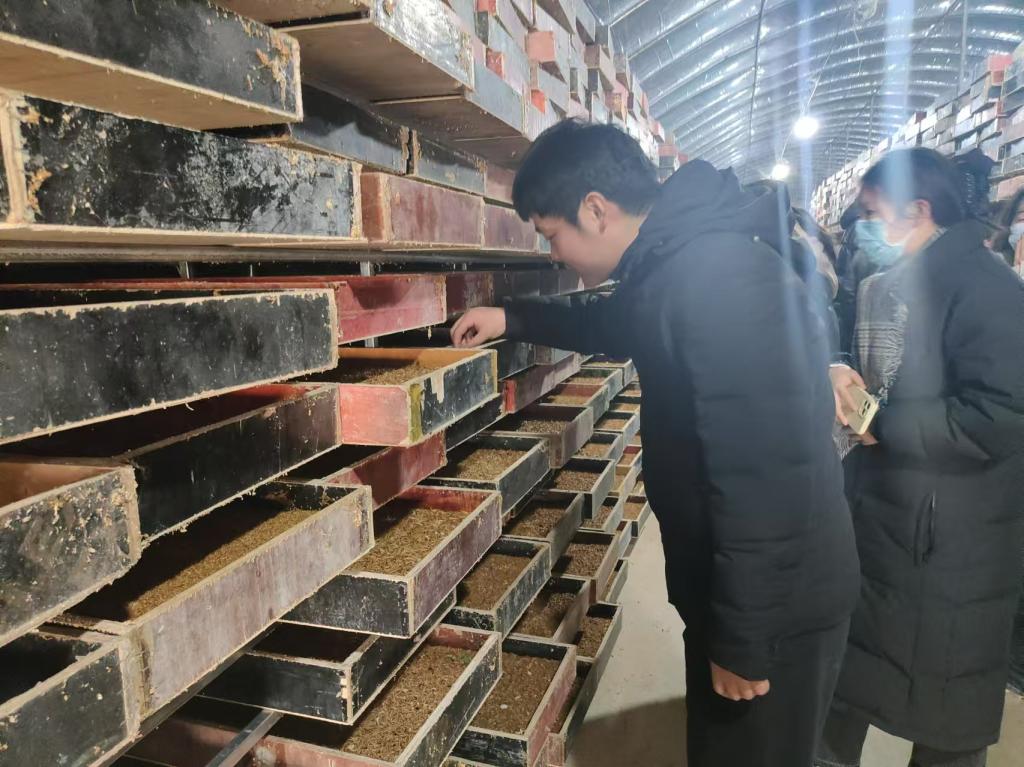 皇冠体育投注