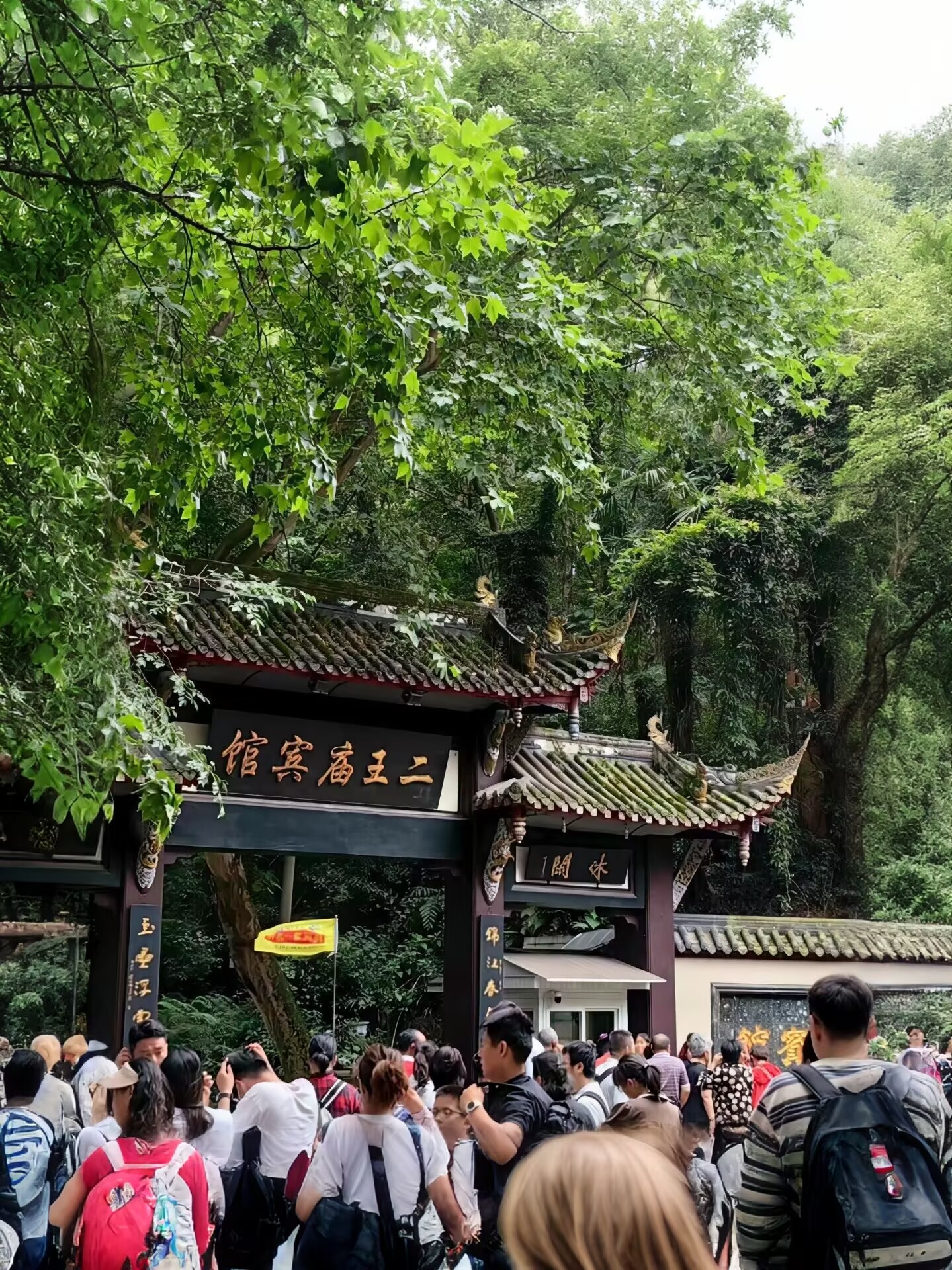 皇冠体育投注