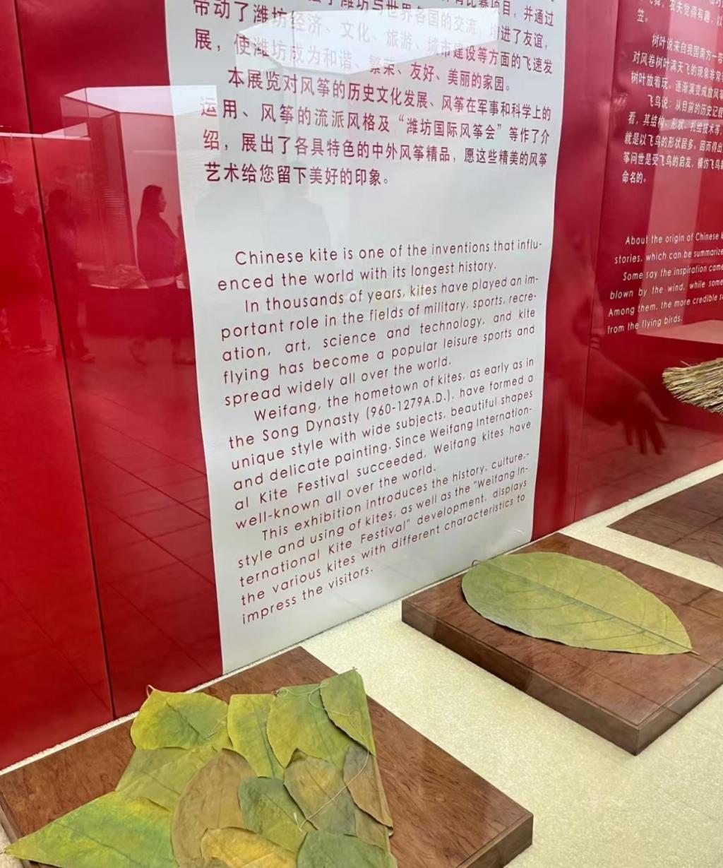 皇冠体育投注