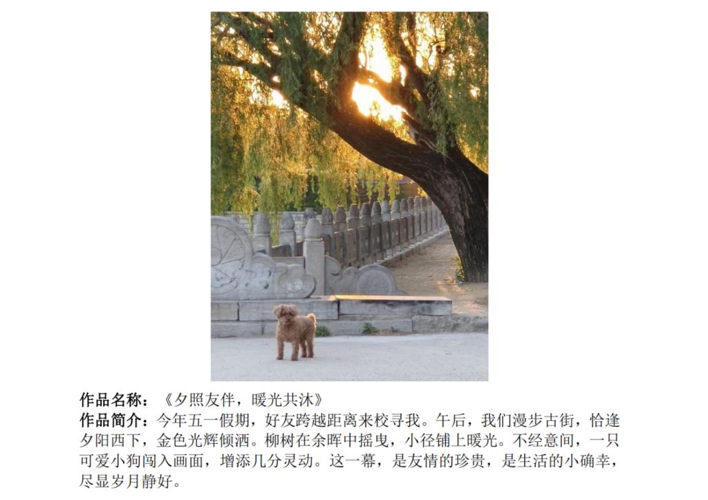 皇冠体育投注