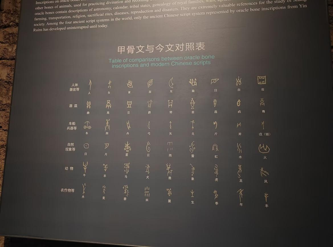皇冠体育投注