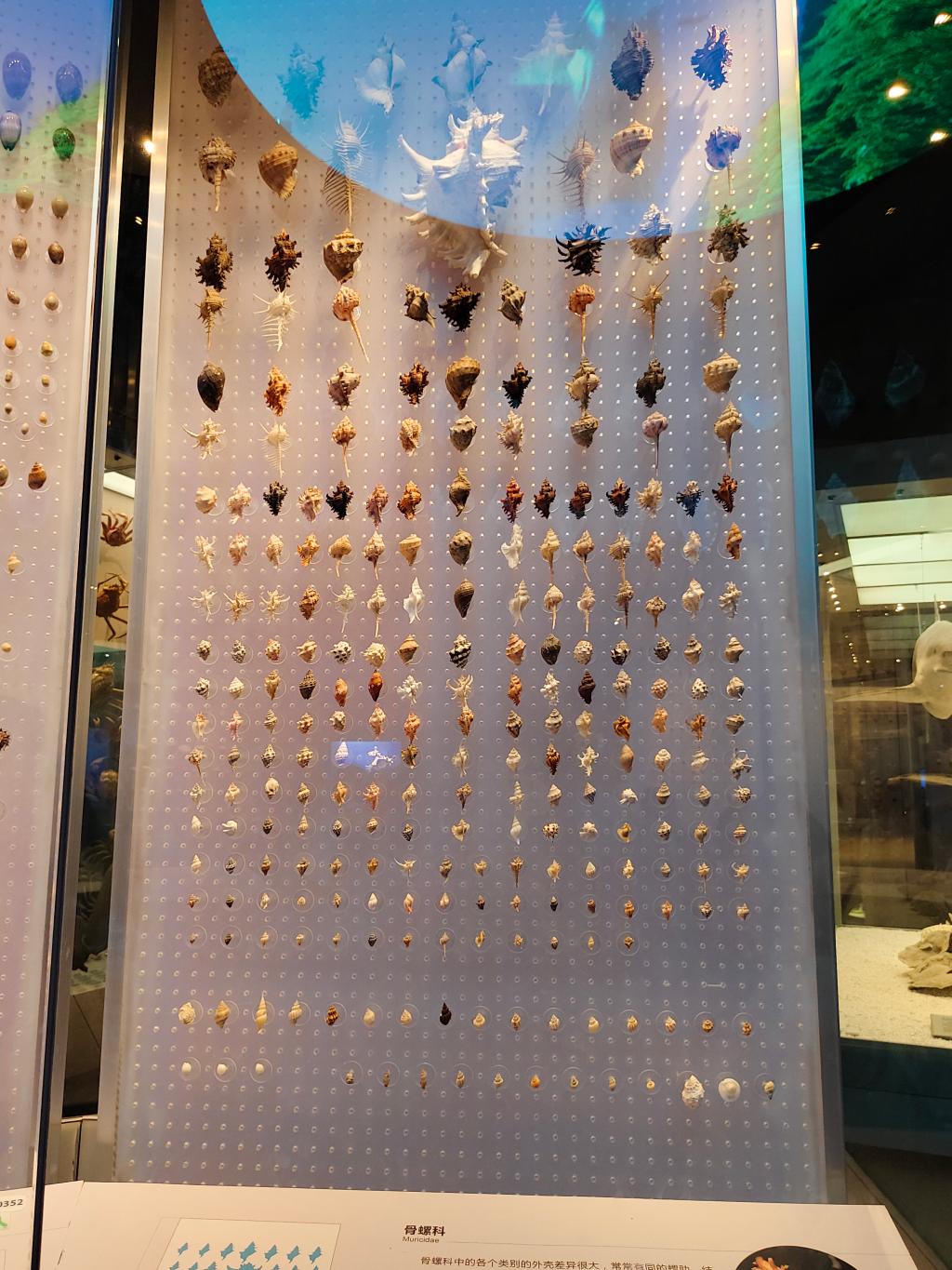 皇冠体育投注