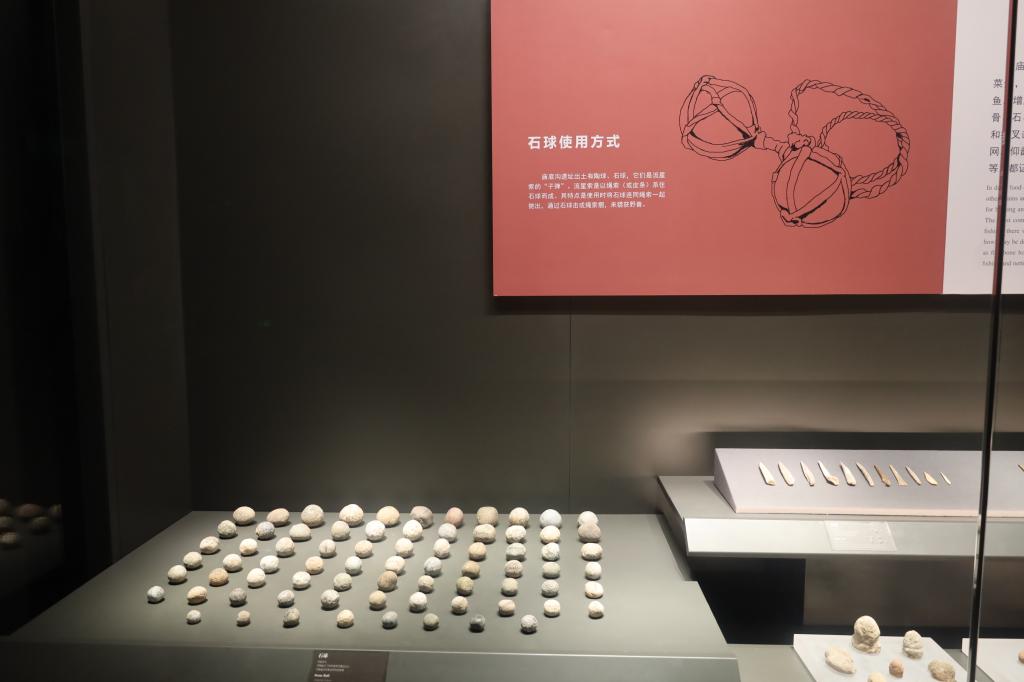 皇冠体育投注