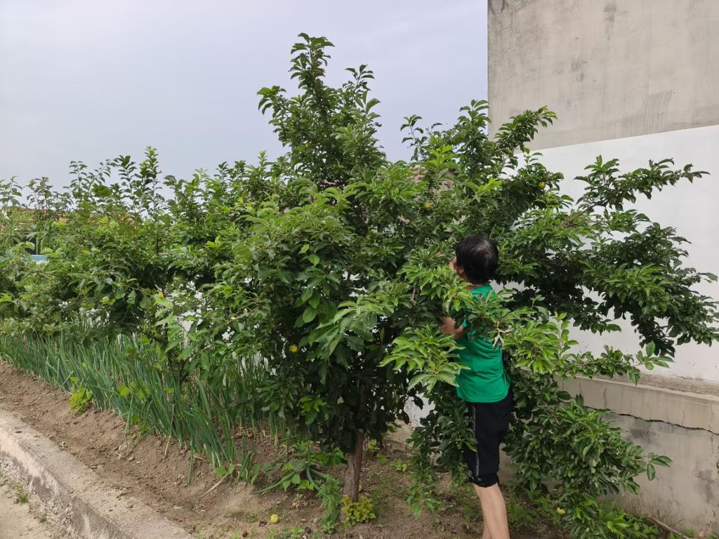 皇冠体育投注