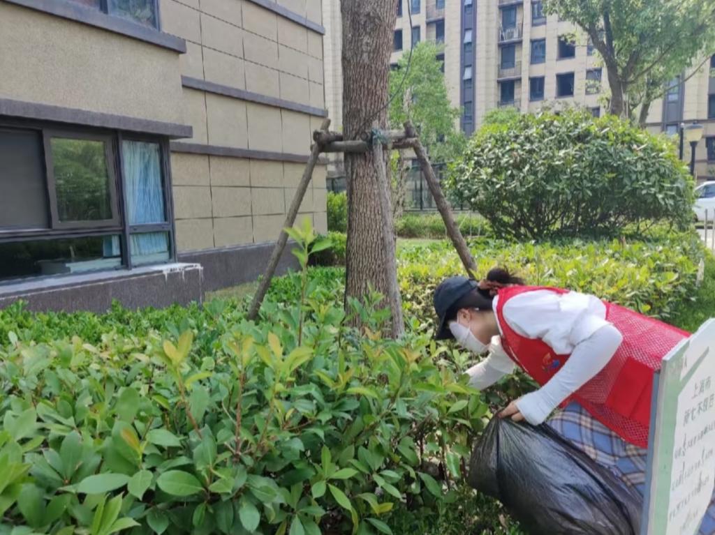 皇冠体育投注