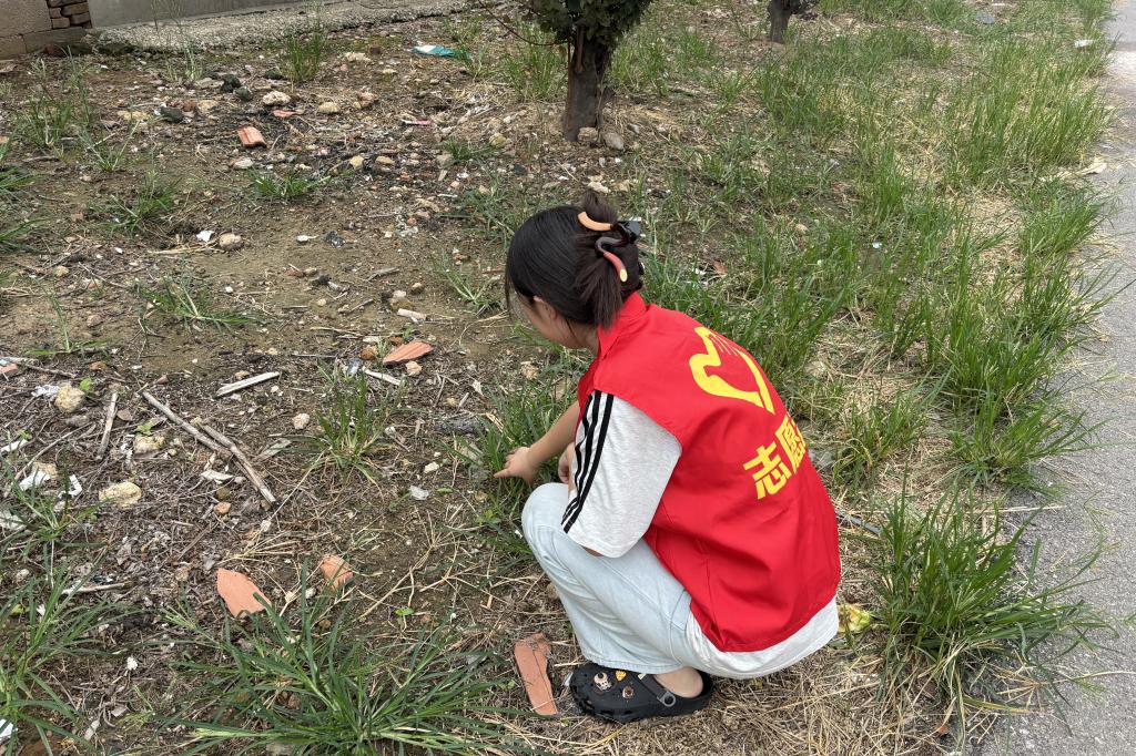 皇冠体育投注