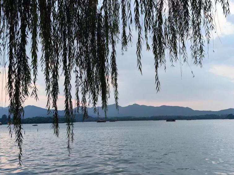 皇冠体育投注